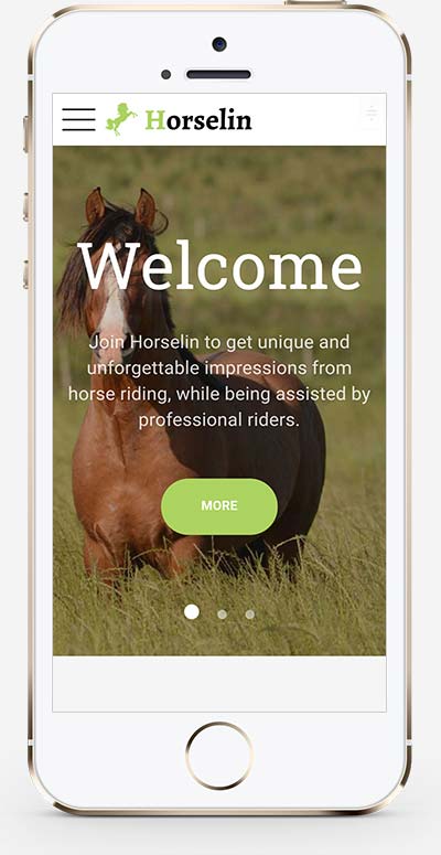 (自适应手机端)养马场畜牧业英文网站pbootcms模板 马匹饲养养殖场网站模板下载